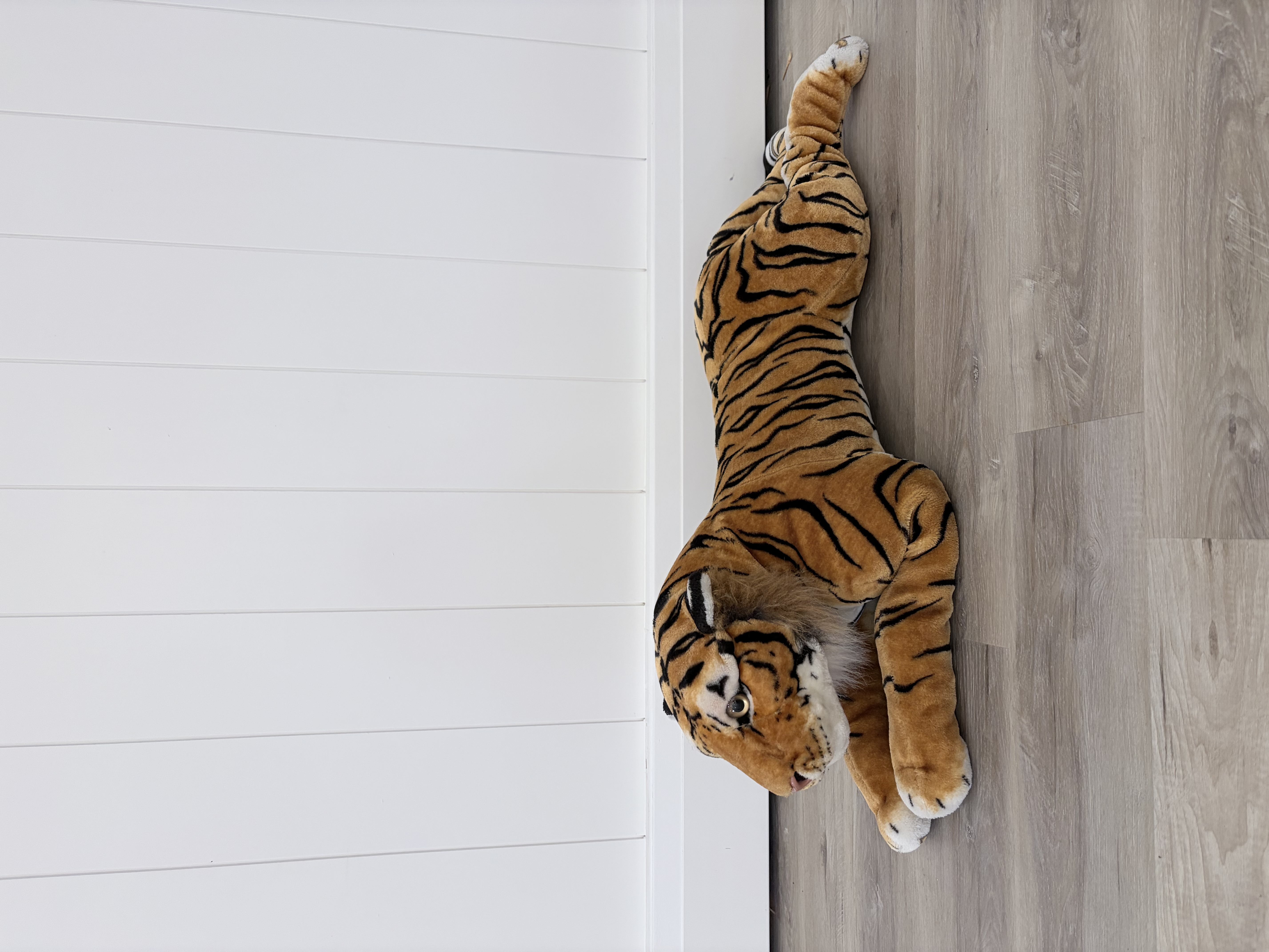 Tiger Stuffy Prop